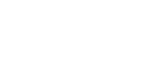 Geis logo
