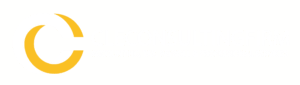 cle-consulting-co-300x85